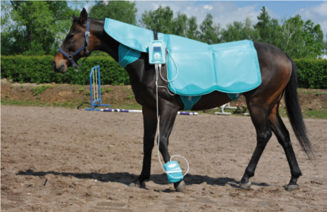 Lumina VET KOMFORT