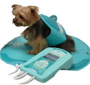 Lumina VET PLUS