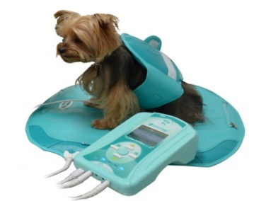 Lumina VET PLUS