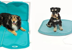 Lumina VET PLUS