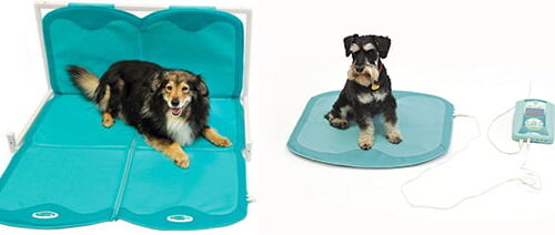 Lumina VET PLUS