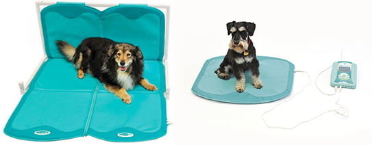Lumina VET PLUS