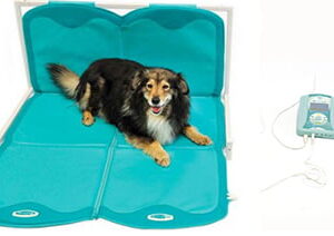Lumina VET PLUS