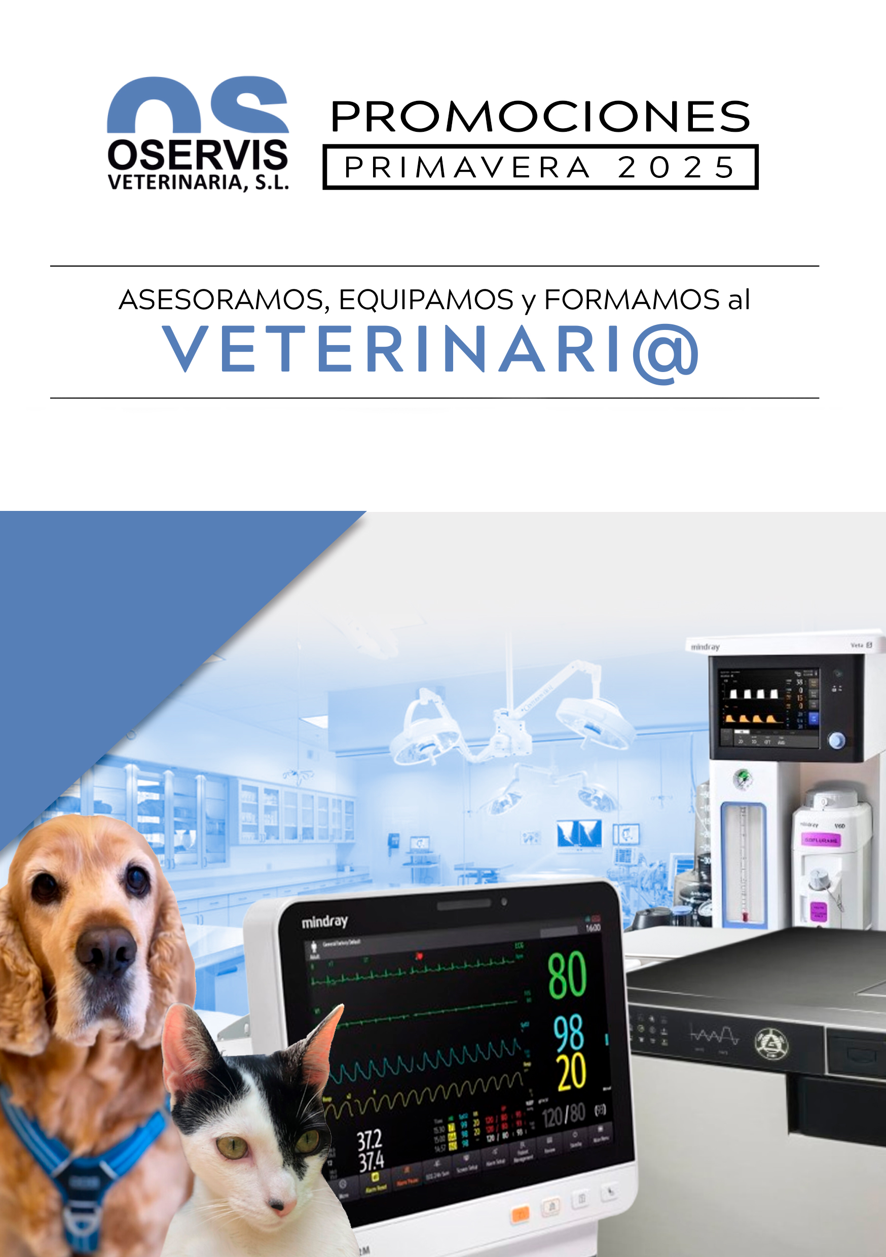 Home 5 Plantilla Portada